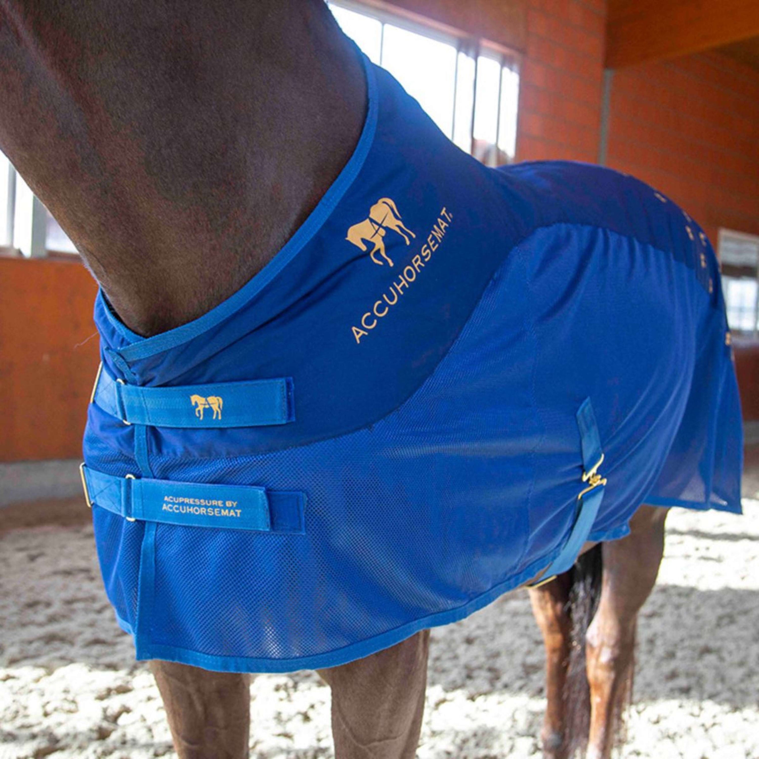 Accuhorsemat Blanket Cooler with Accupressure Mat Blue