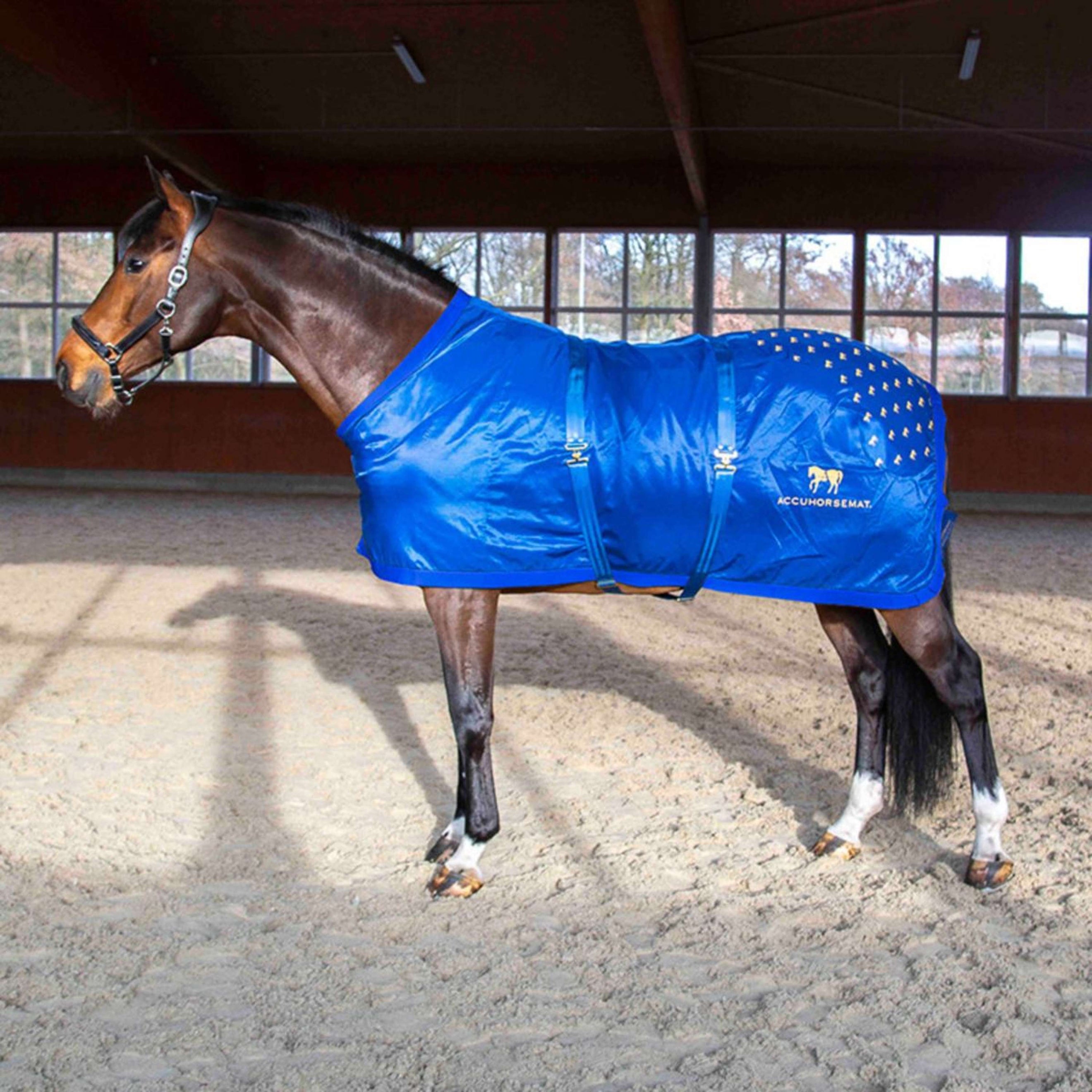 Accuhorsemat Blanket Original without Acupressure Mat Blue