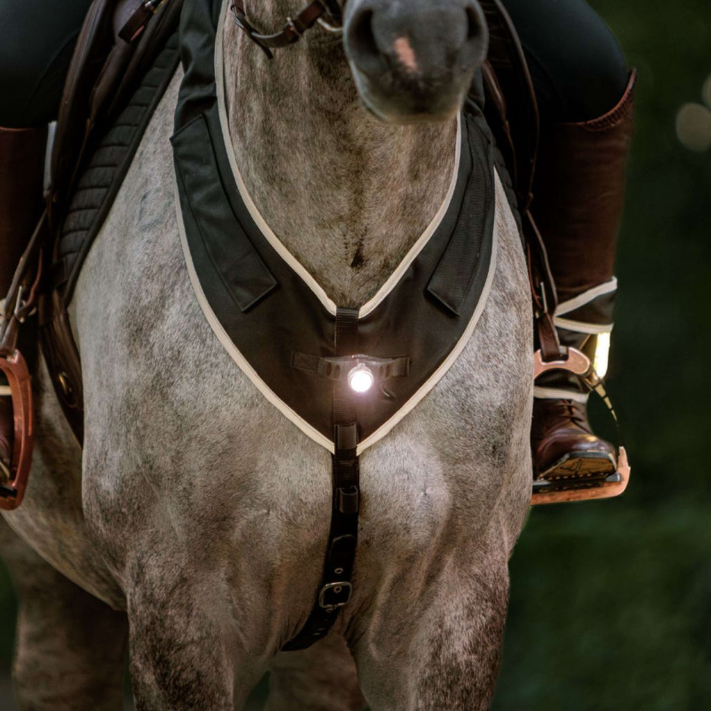 Kavalkade Chest Buckle Horselight Black/Grey