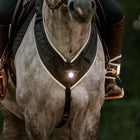 Kavalkade Chest Buckle Horselight Black/Grey