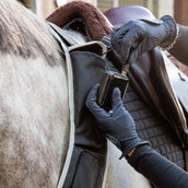 Kavalkade Chest Buckle Horselight Black/Grey