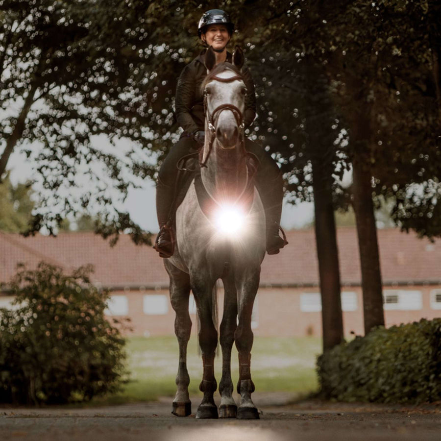 Kavalkade Breastplate/Saddle Horselight Black/Grey
