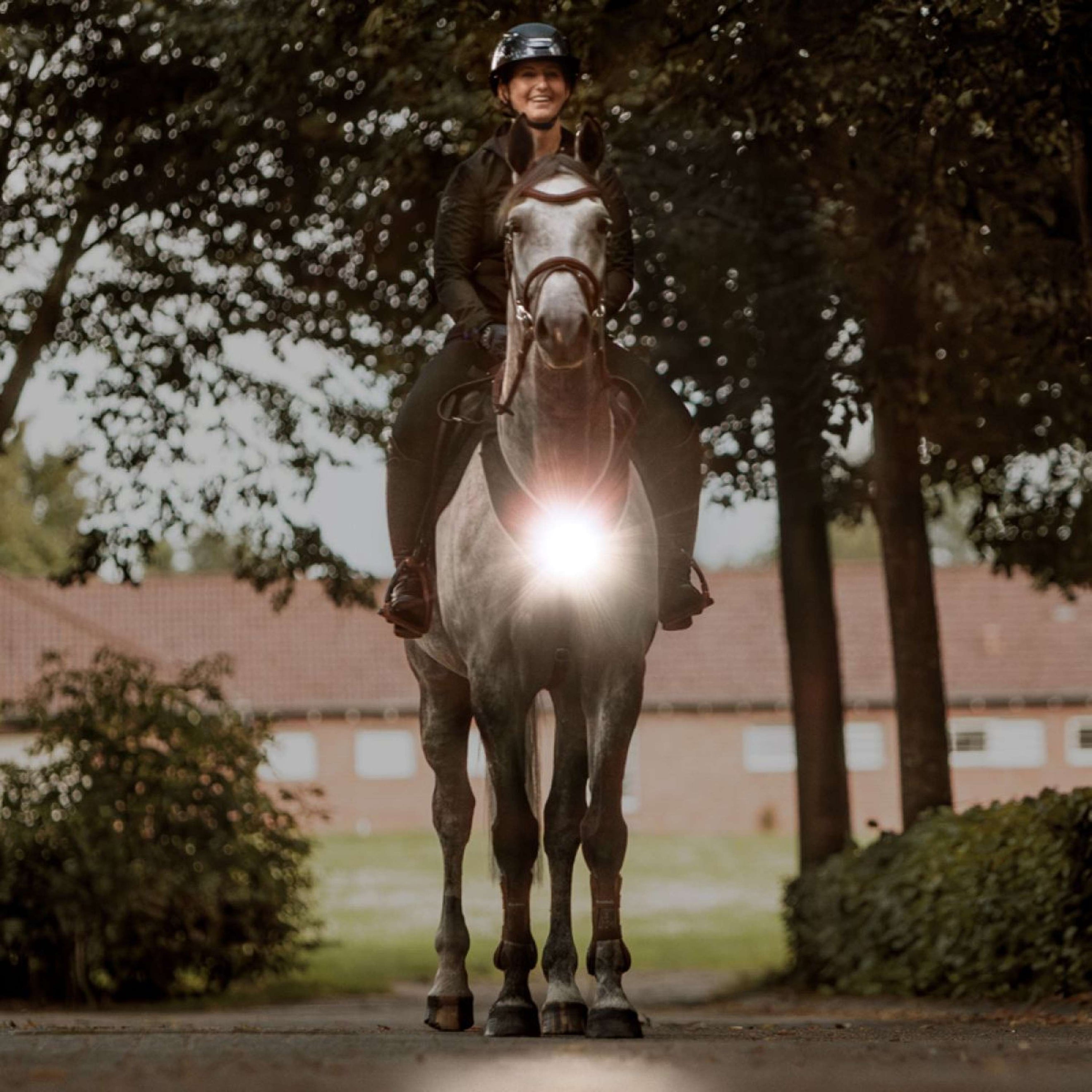 Kavalkade Breastplate/Saddle Horselight Black/Grey