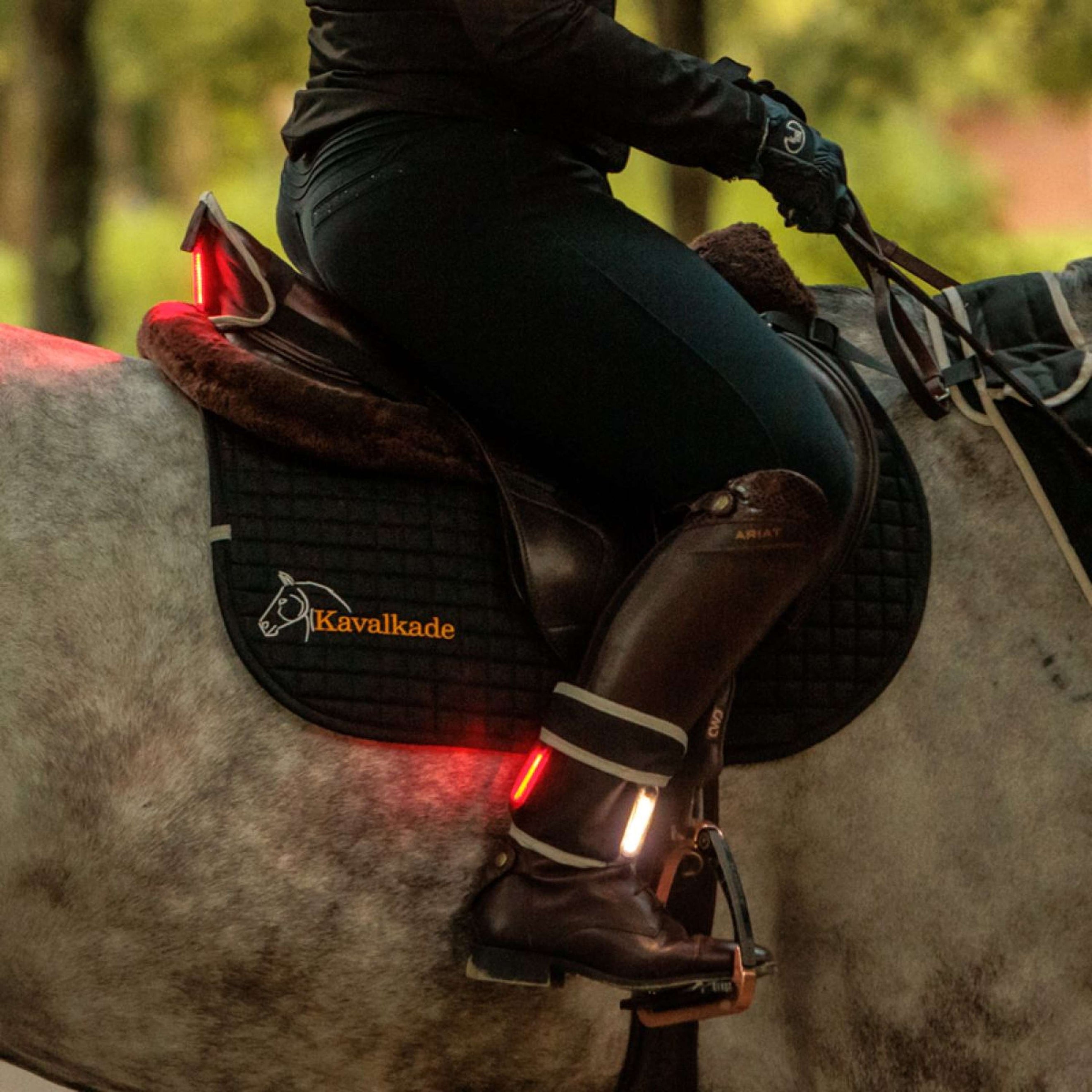 Kavalkade Breastplate/Saddle/Leg Horselight Black/Grey Kavalkade Breastplate/Saddle/Leg Horselight Black/Grey