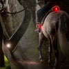 Kavalkade Breastplate/Saddle/Leg Horselight Black/Grey