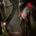 Kavalkade Breastplate/Saddle/Leg Horselight Black/Grey