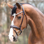 Kavalkade Bridle Florina KavalSH4 Round Stitched Brown