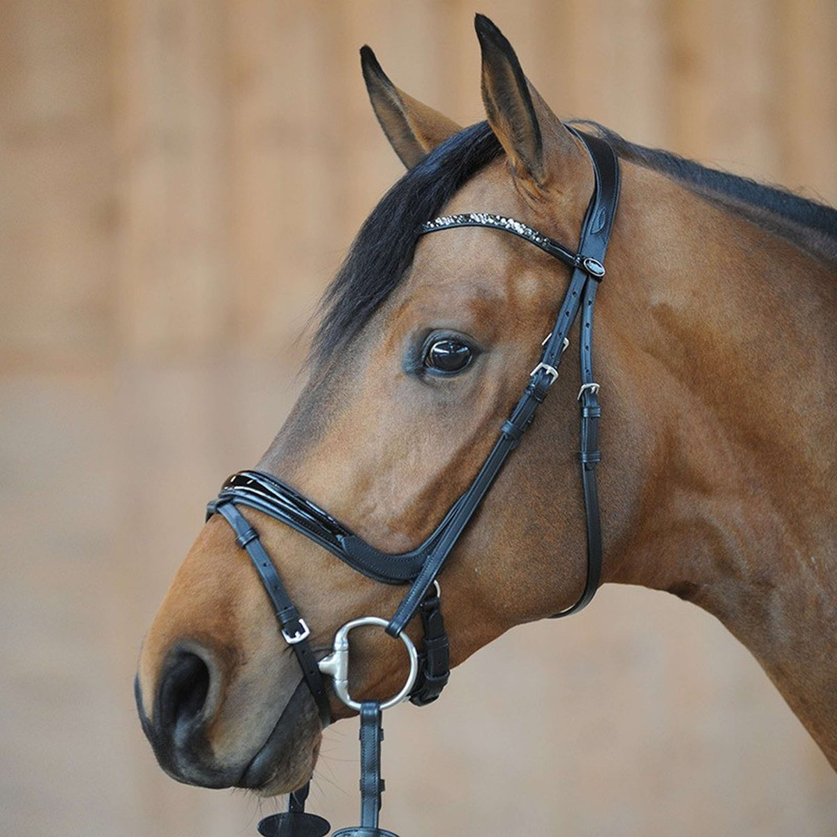 Kavalkade Bridle Ivana English Black