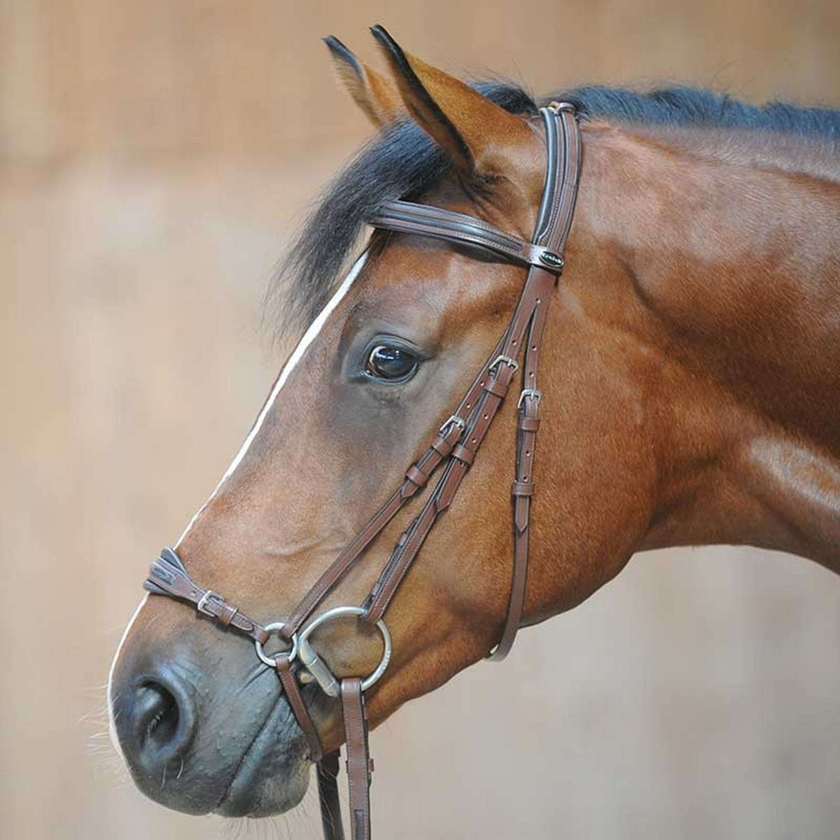 Kavalkade Bridle Levana Hannoveraan Brown