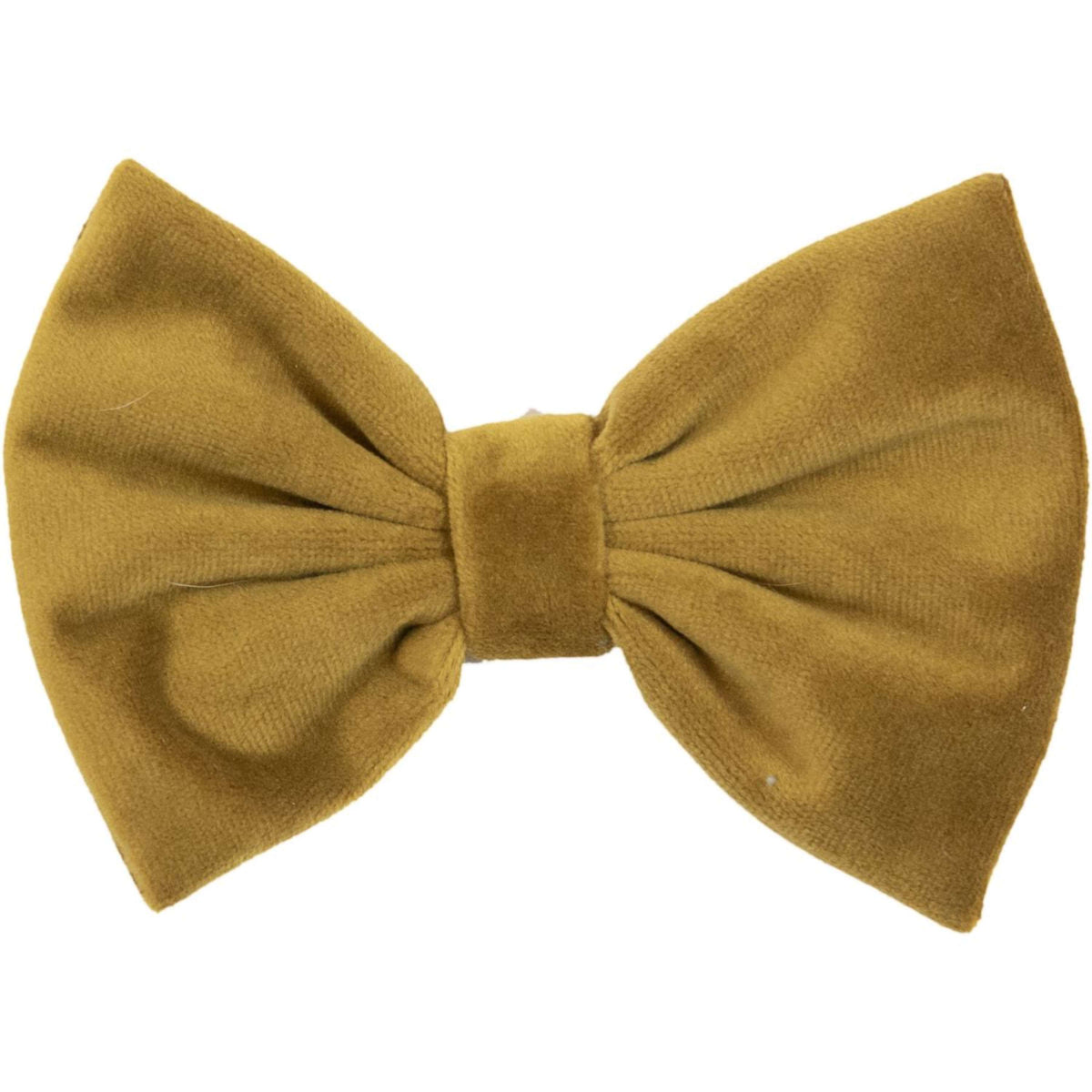 Kentucky Bow Tie Velvet mustard