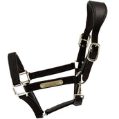 Kentucky Halter Anatomic Nylon Black