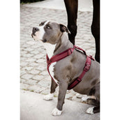 Kentucky Harness Active Velvet Bordeaux