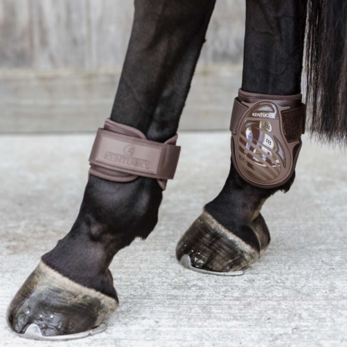 Kentucky Horsewear Fetlock Boots Young Horse Brown