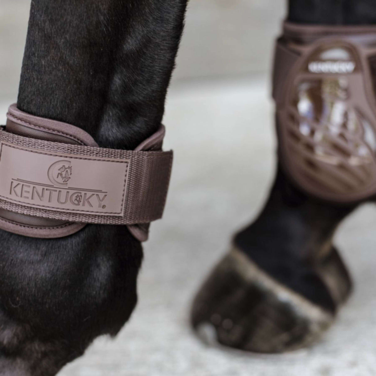 Kentucky Horsewear Fetlock Boots Young Horse Brown