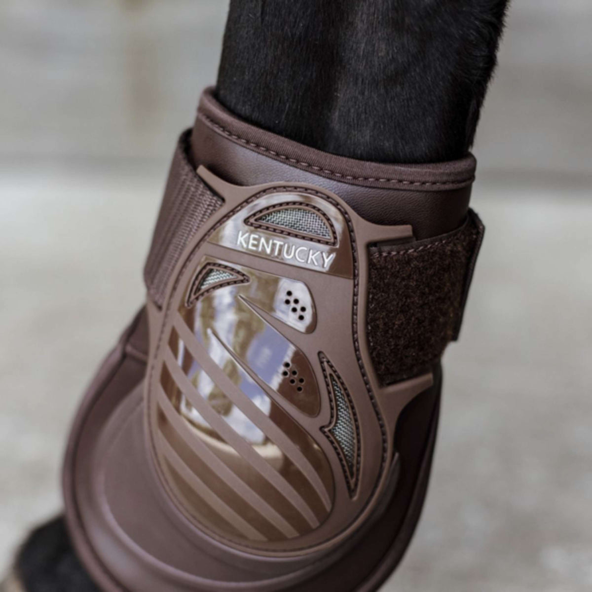 Kentucky Horsewear Fetlock Boots Deep Brown