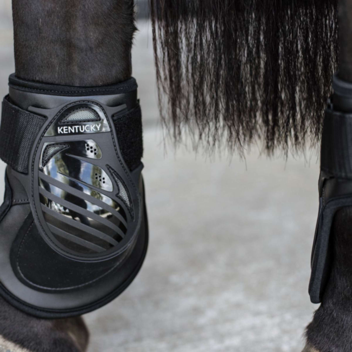 Kentucky Horsewear Fetlock Boots Deep Black