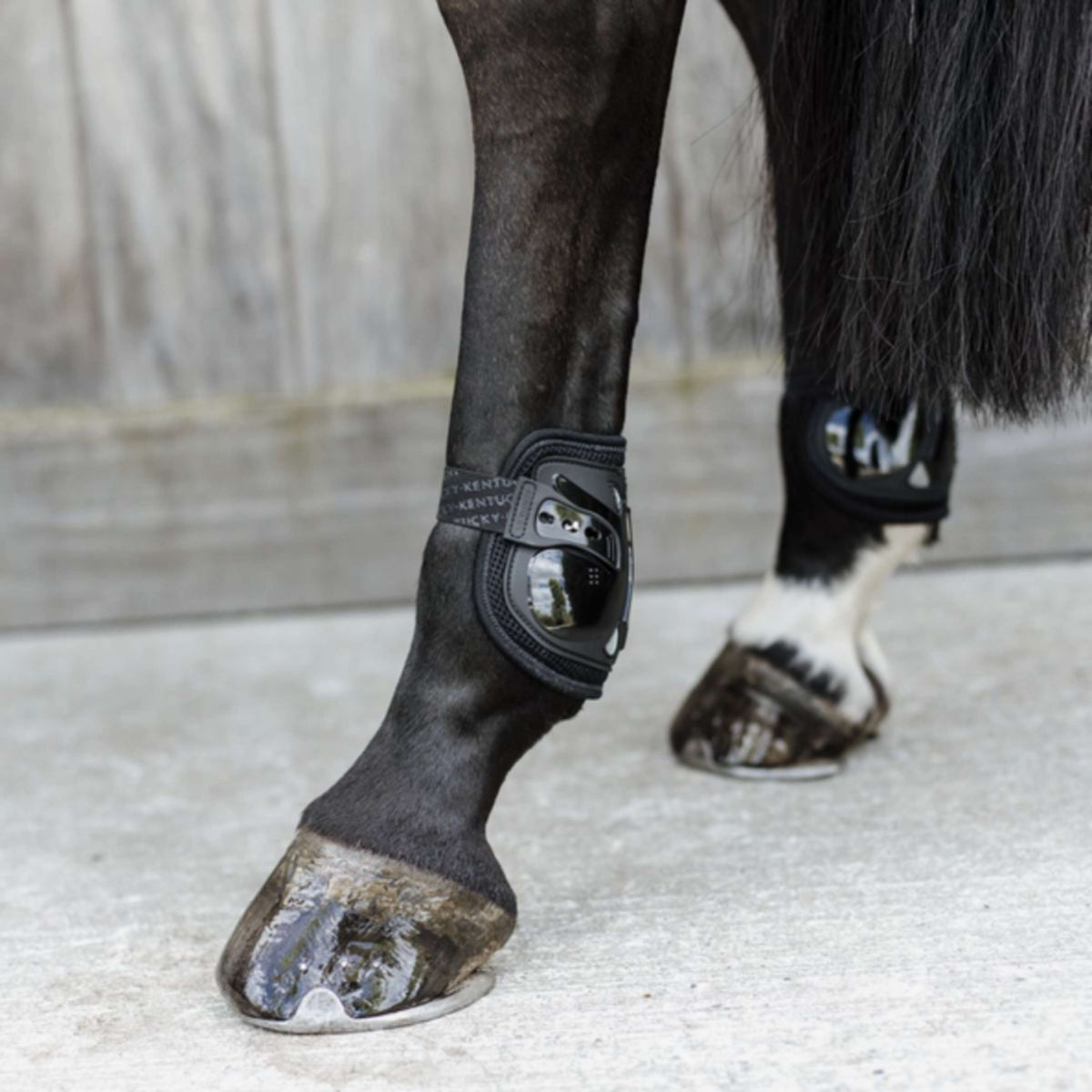 Kentucky Horsewear Bullet guards Moonboots Air Black