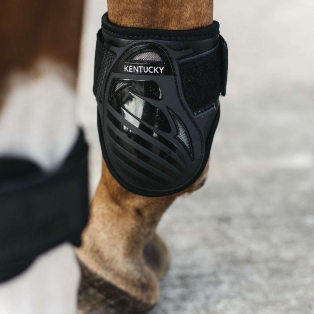 Kentucky Horsewear Fetlock Boots Young Horse Black