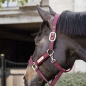 Kentucky Halter Velvet Bordeaux