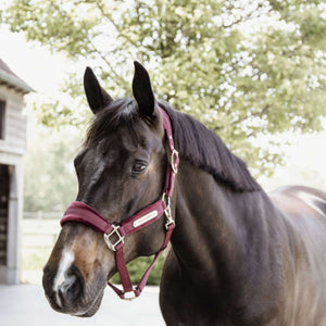 Kentucky Halter Velvet Bordeaux