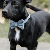 Kentucky Bow Tie Velvet Lightblue