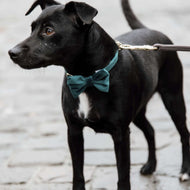 Kentucky Bow Tie Velvet Emerald