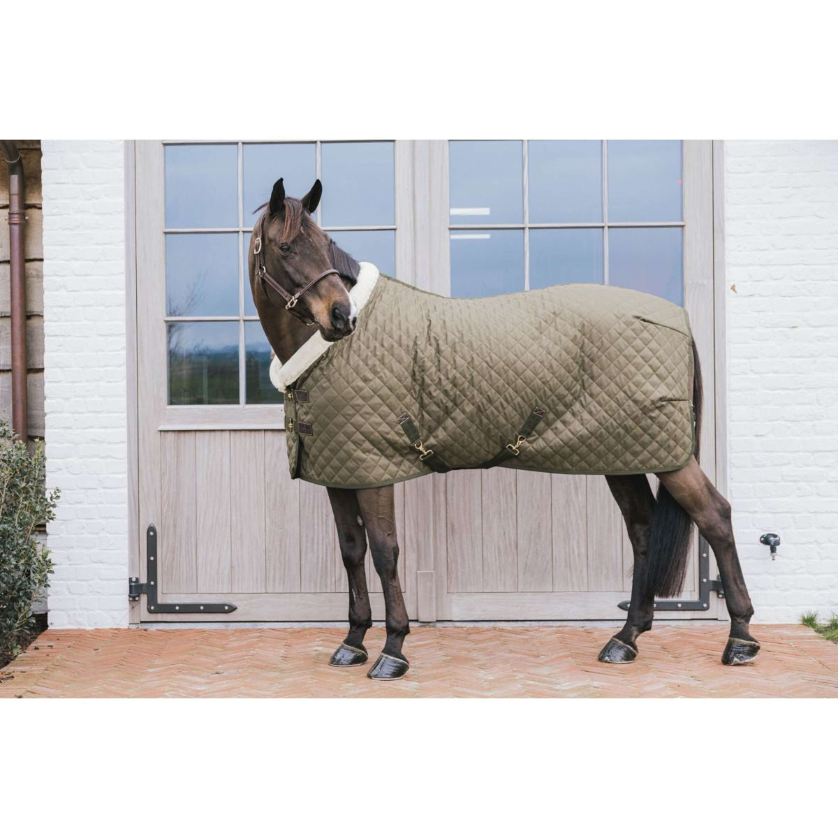 Kentucky Show Rug 160g Kaki