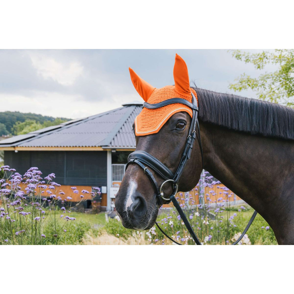 Kentucky Ear Bonnet Wellington Diamond Cord Orange