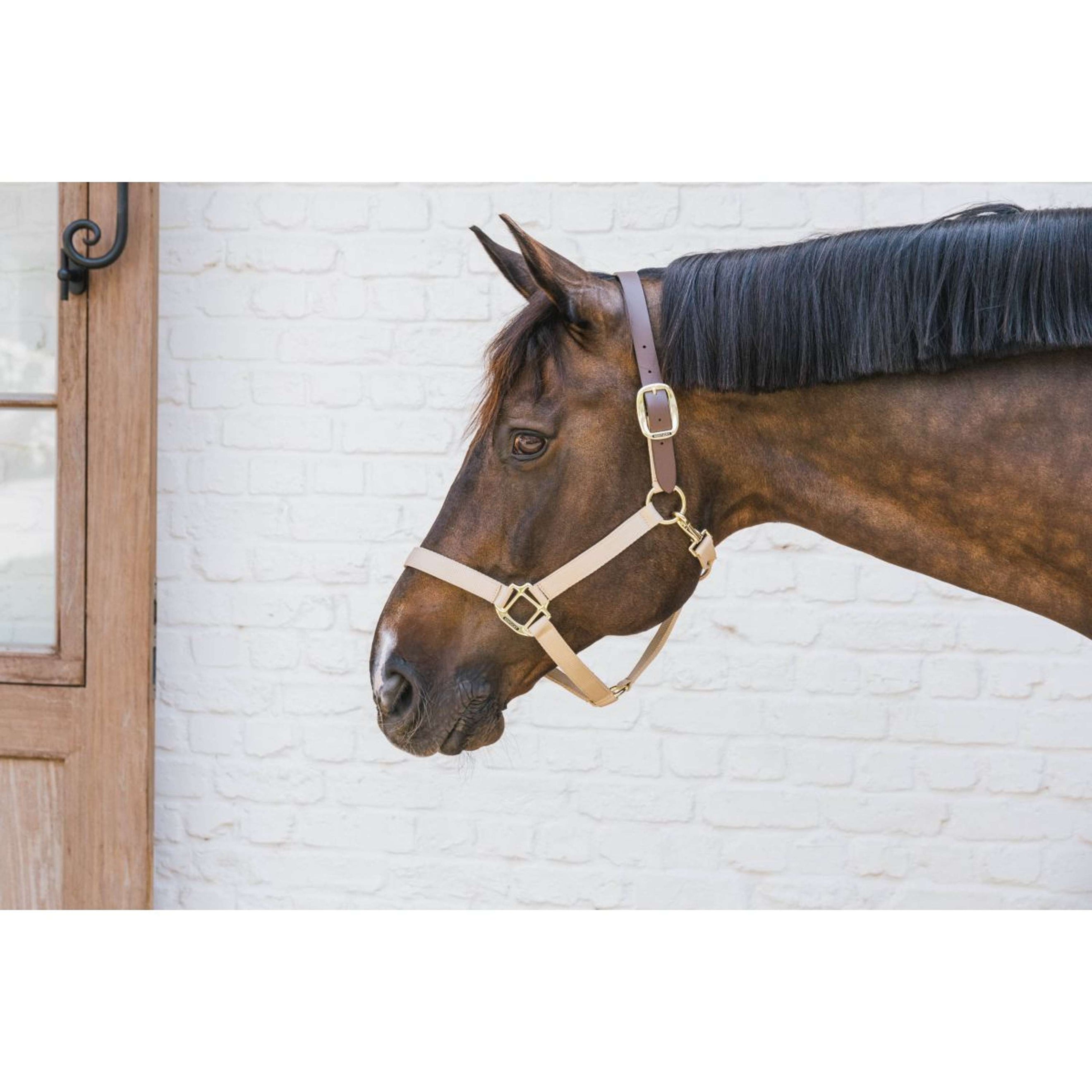 Kentucky Halter Nylon Breakaway Neck piece Brown