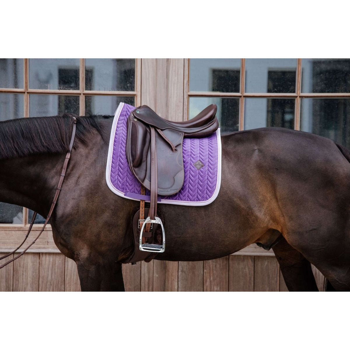 Kentucky Dressage Saddle Pad Classic Contrast Royal Purple