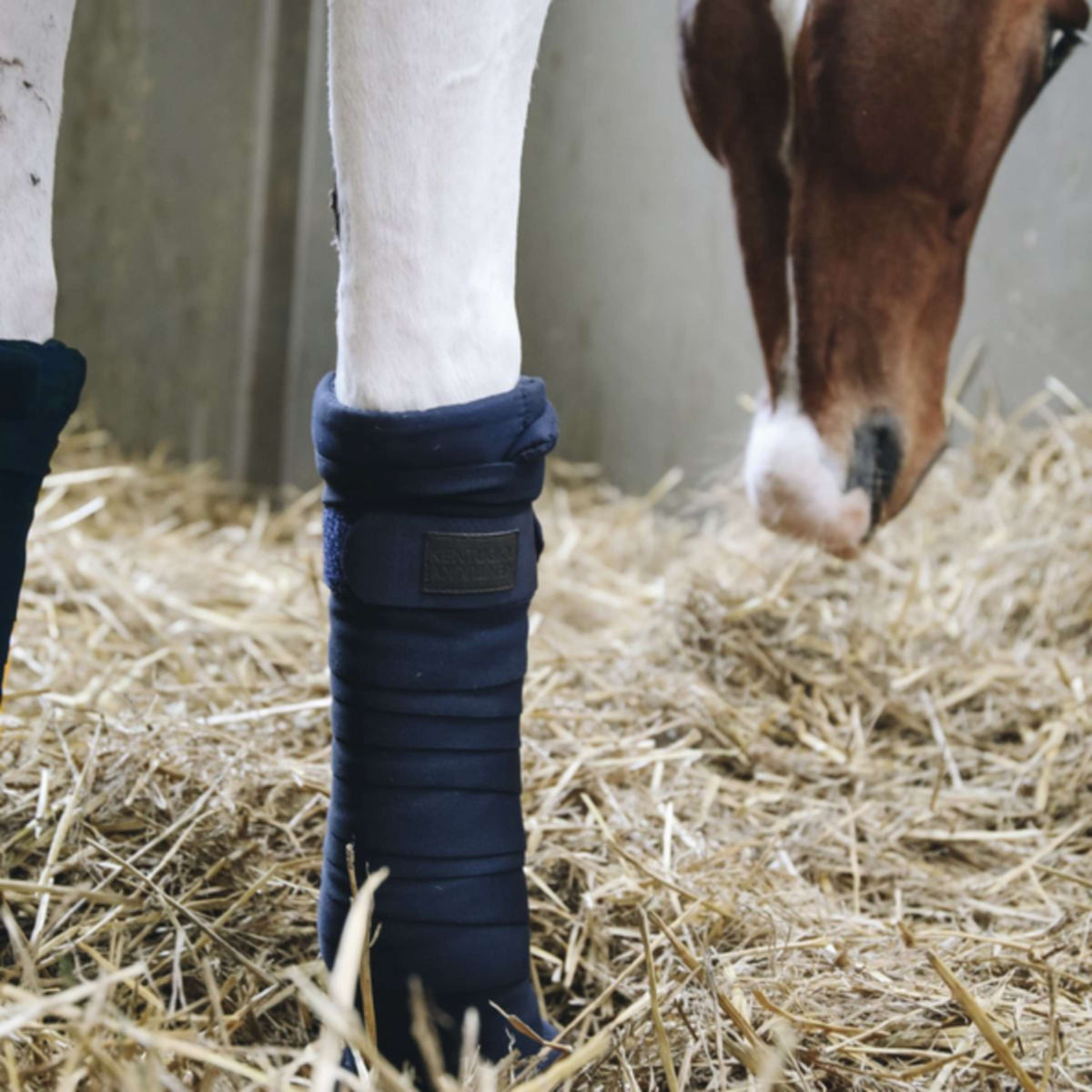 Kentucky Stable Stable Bandages Navy