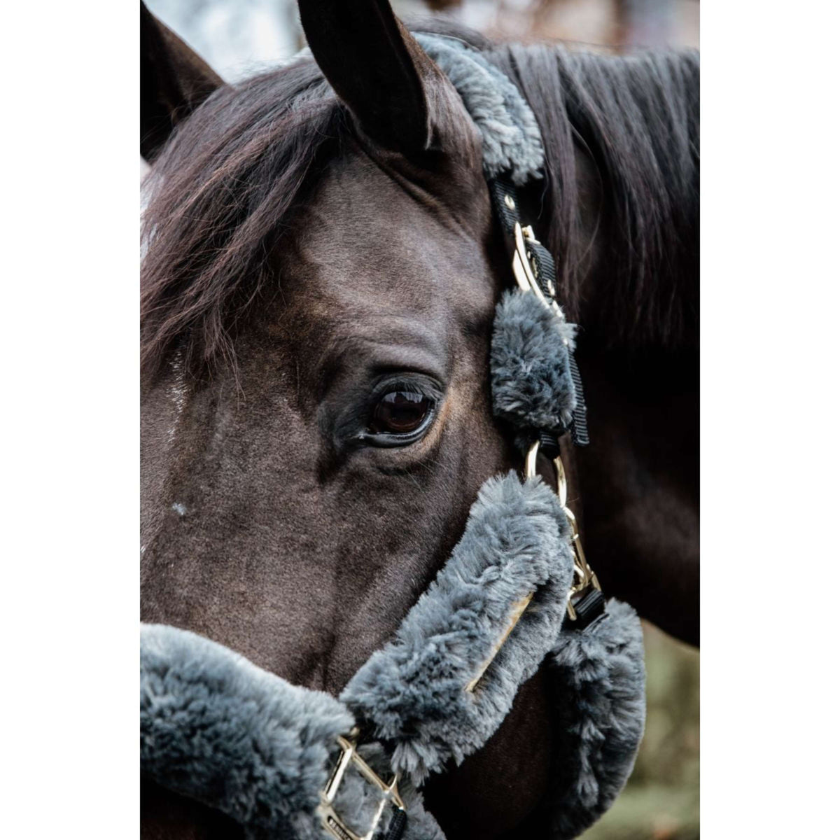 Kentucky Head Collar Sheepskin Neck Piece Grey