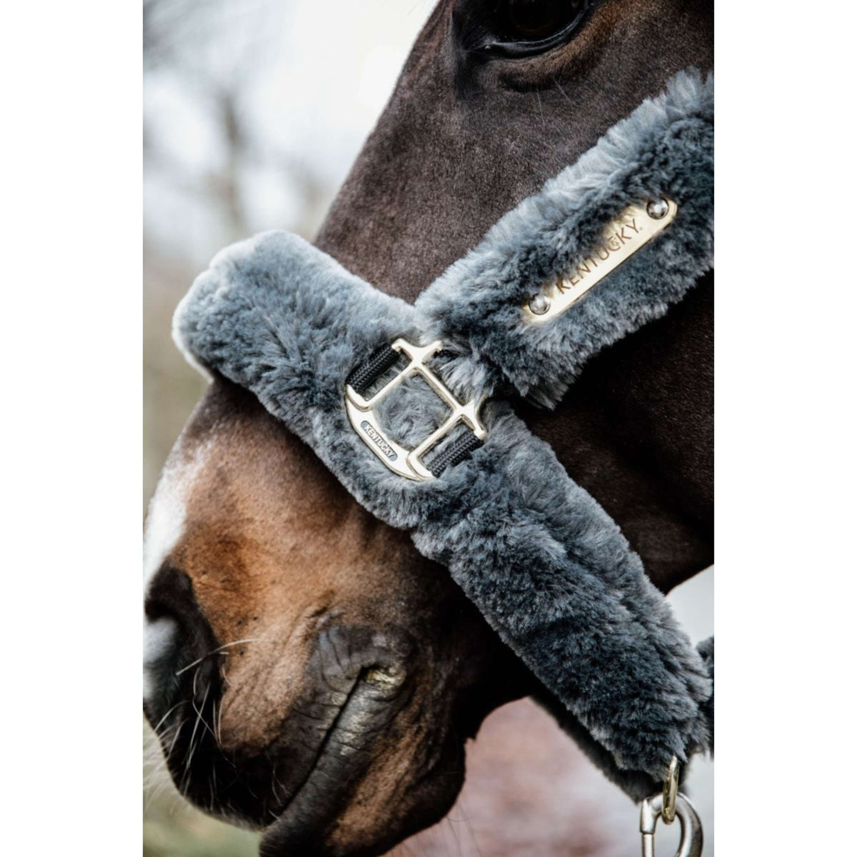 Kentucky Head Collar Sheepskin Grey