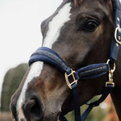 Kentucky Halter Glitter Stone Navy