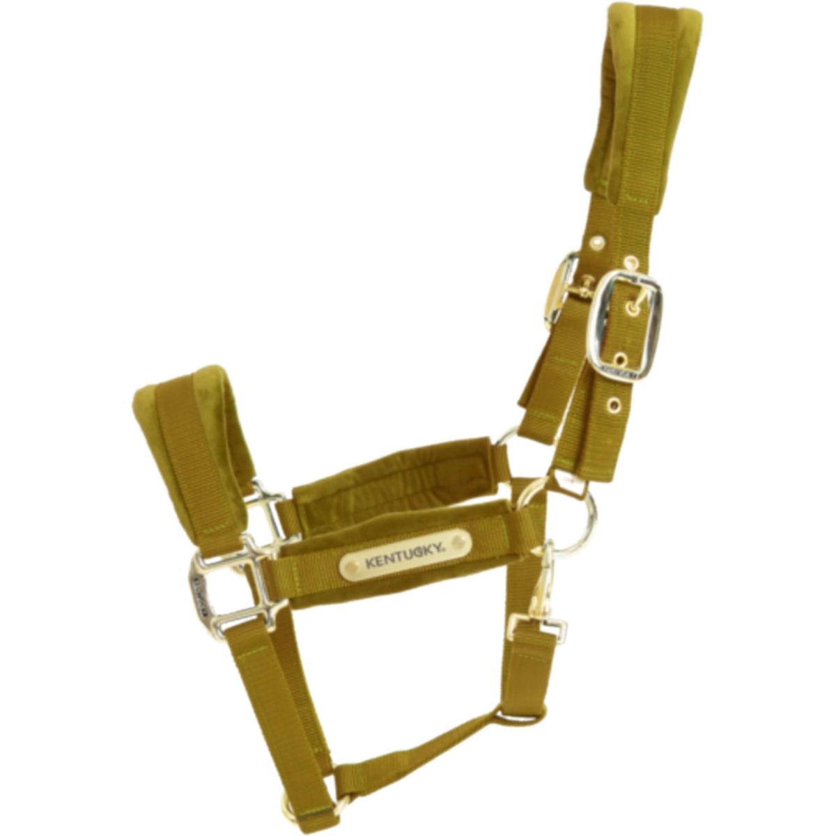 Kentucky Halter Velvet Mustard