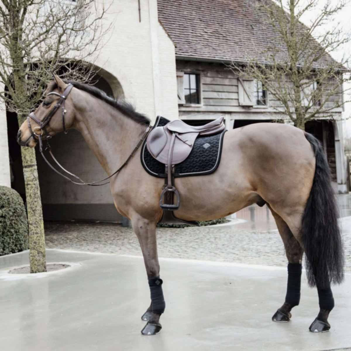 Kentucky Saddlepad Basic Velvet Jumping Black