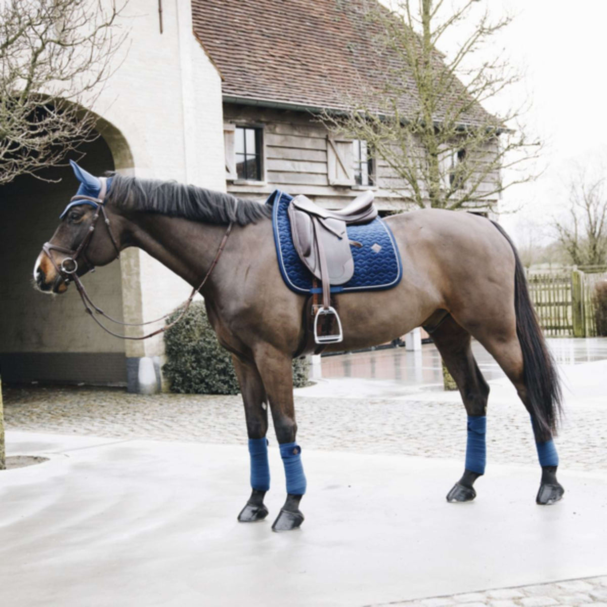 Kentucky Saddlepad Basic Velvet Dressage Navy