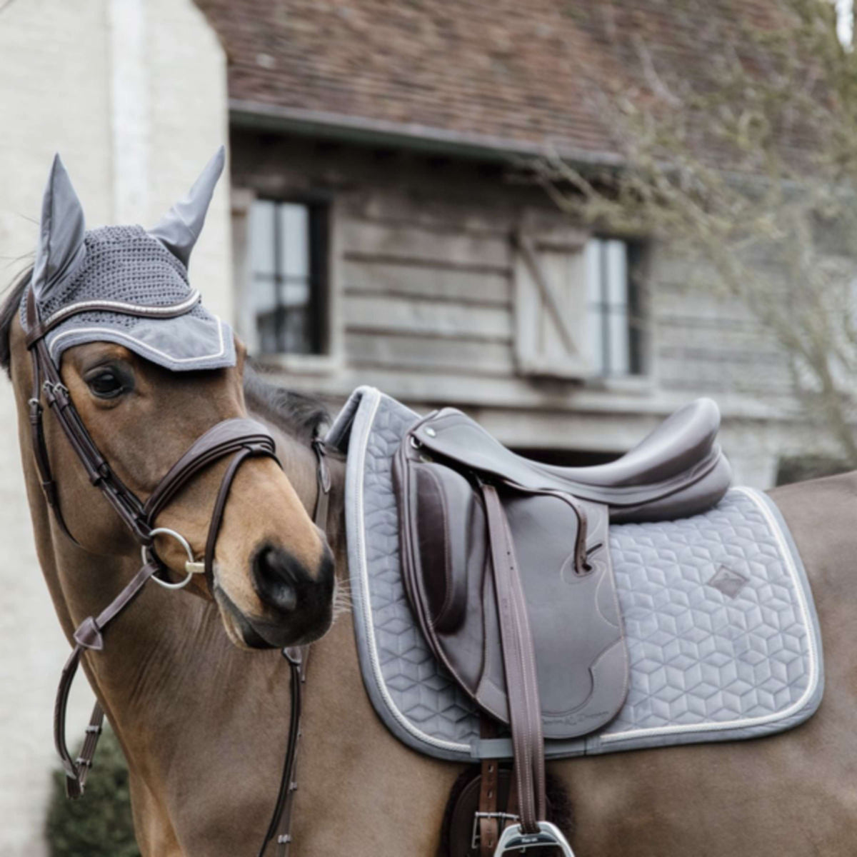 Kentucky Saddlepad Basic Velvet Dressage Grey