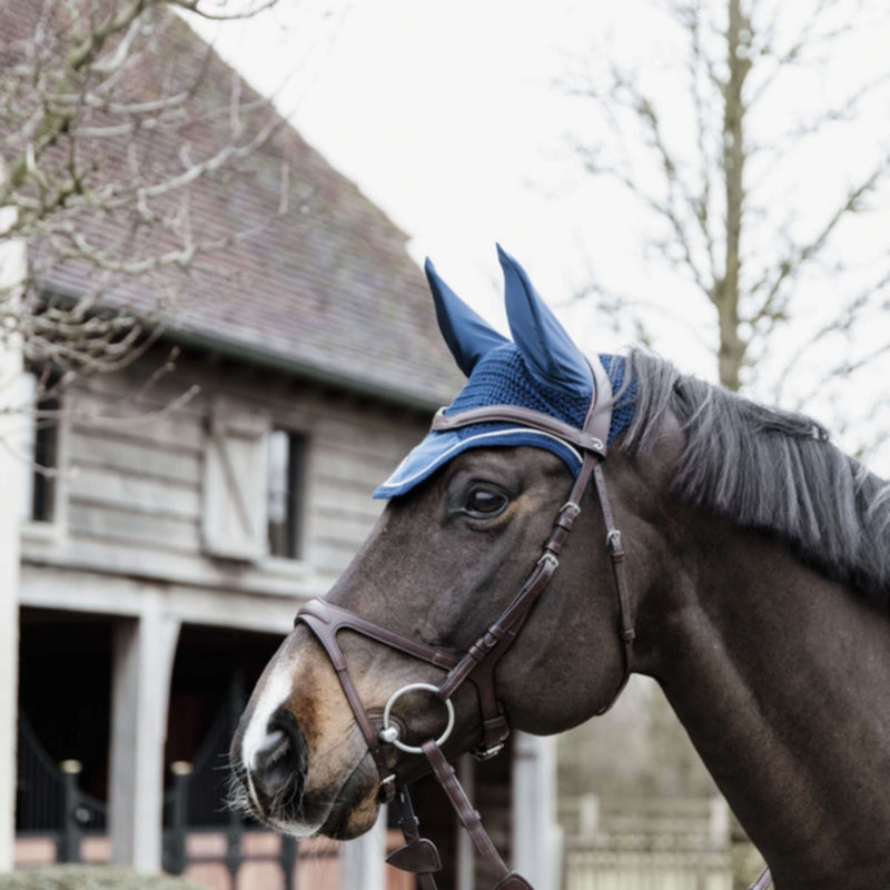 Kentucky Ear Cover Wellington Basic Velvet Navy