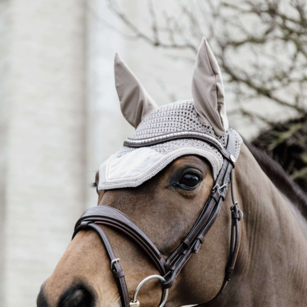 Kentucky Ear Net Wellington Basic Velvet Beige