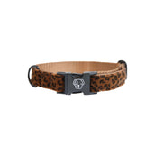 Kentucky Dog Collar Jaguar Brown