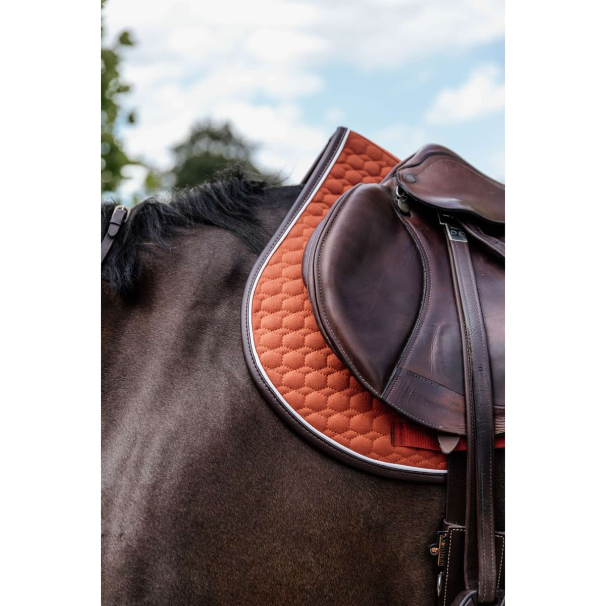 Kentucky Saddlepad Jumping Classic Leather Orange