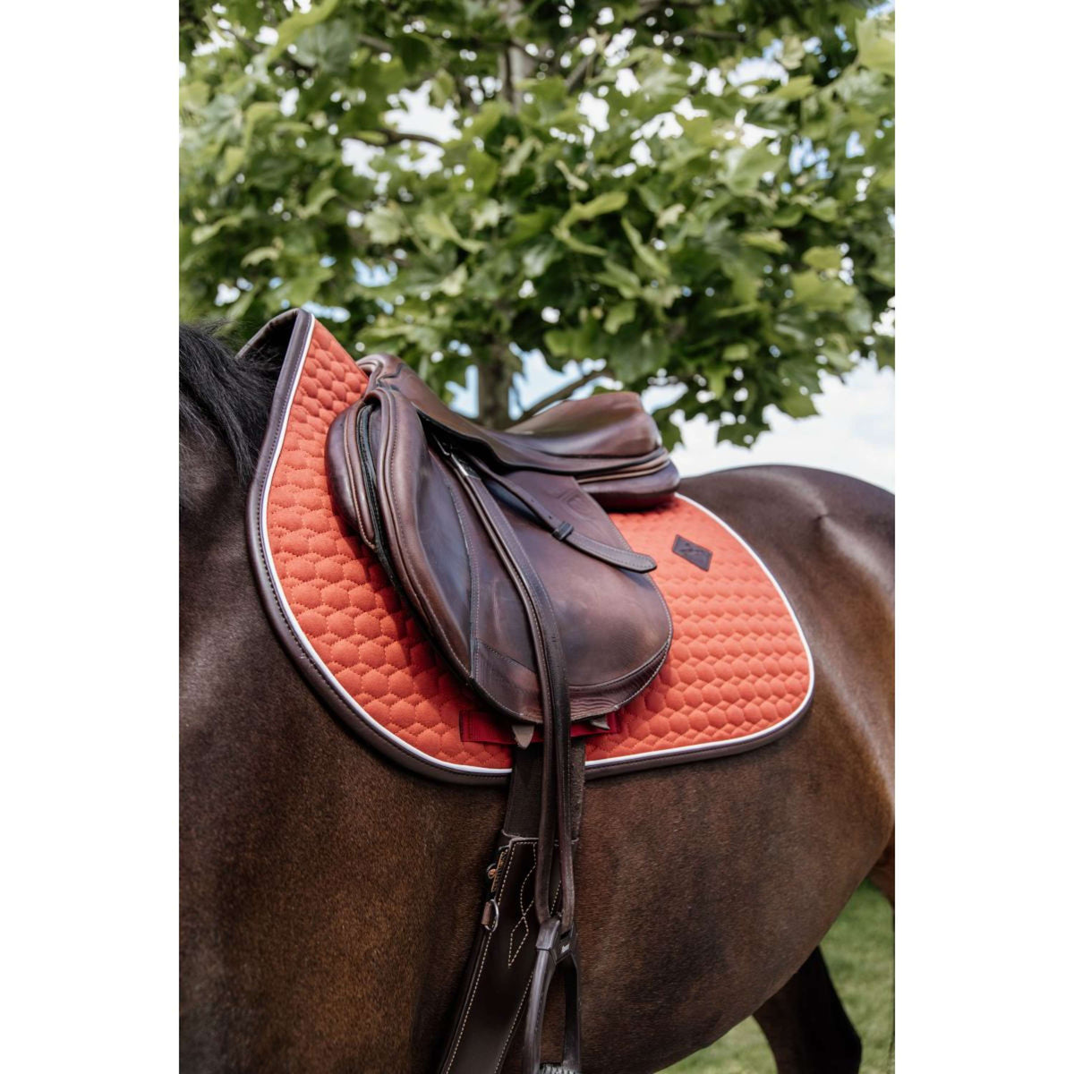 Kentucky Saddlepad Jumping Classic Leather Orange