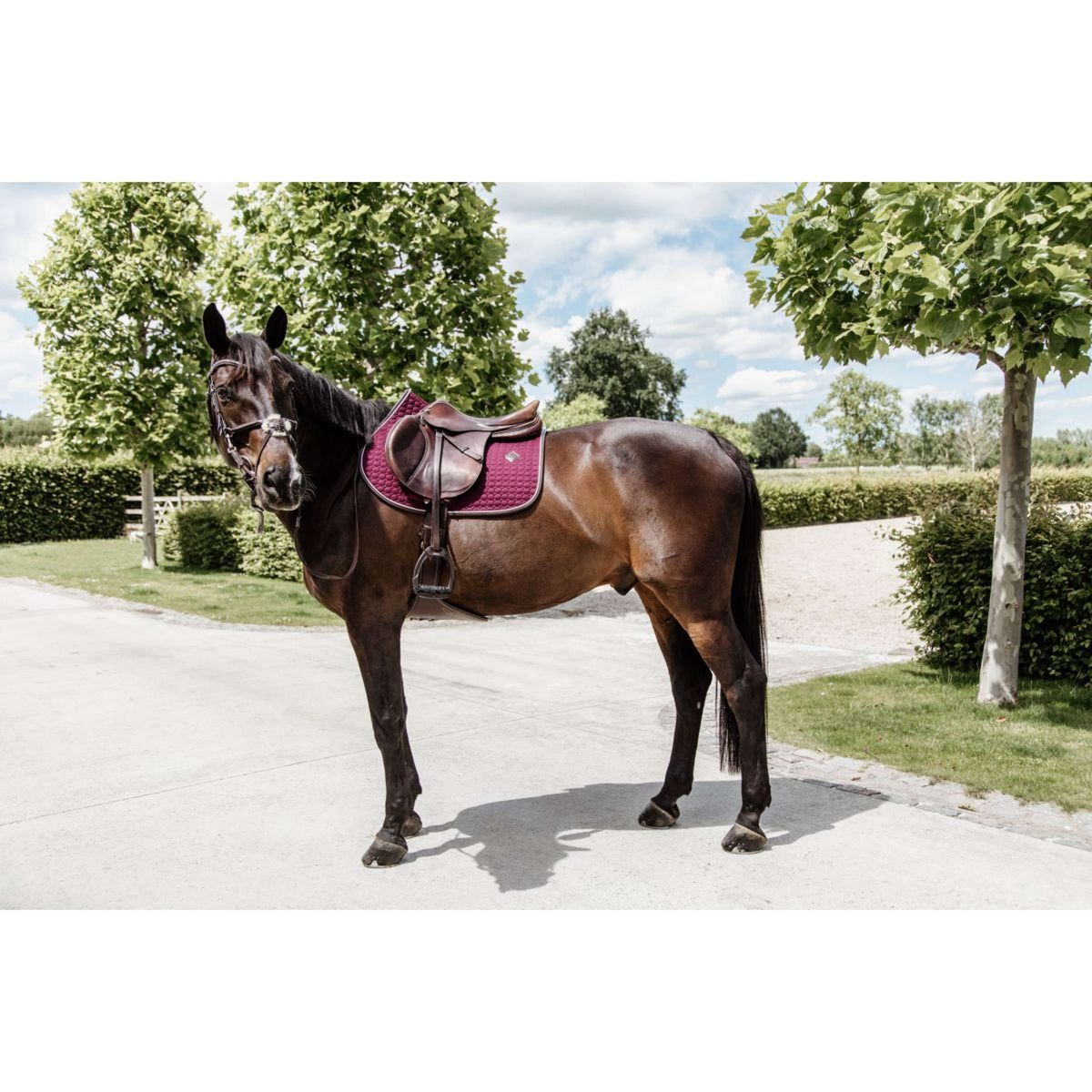 Kentucky Saddlepad Jumping Classic Leather Bordeaux