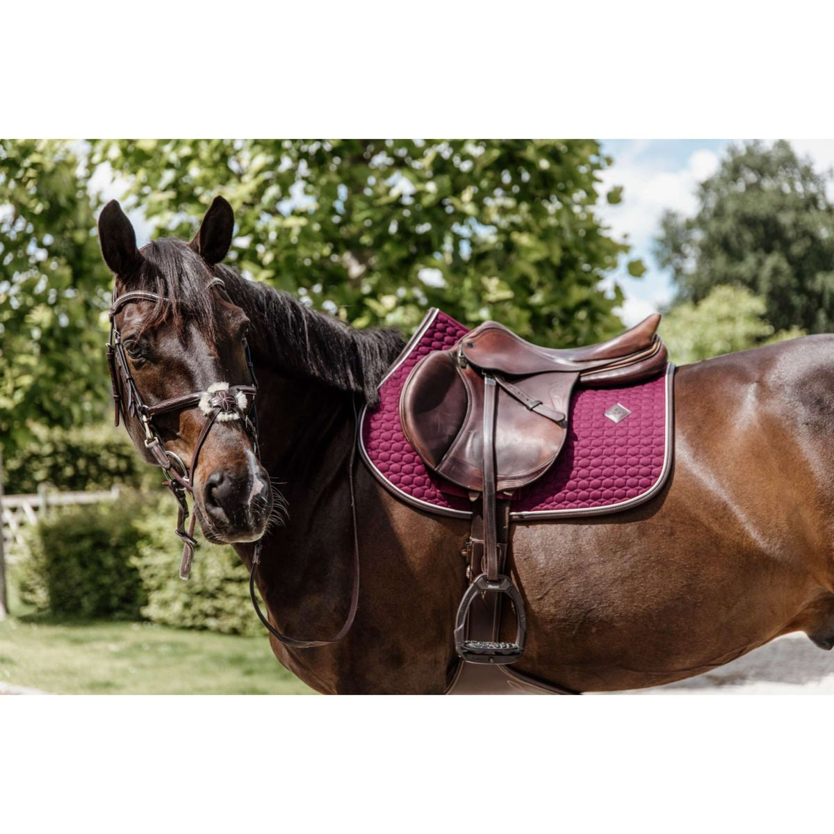 Kentucky Saddlepad Jumping Classic Leather Bordeaux