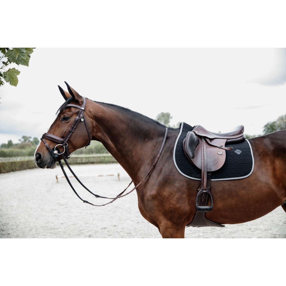 Kentucky Saddlepad Softshell Jumping Black