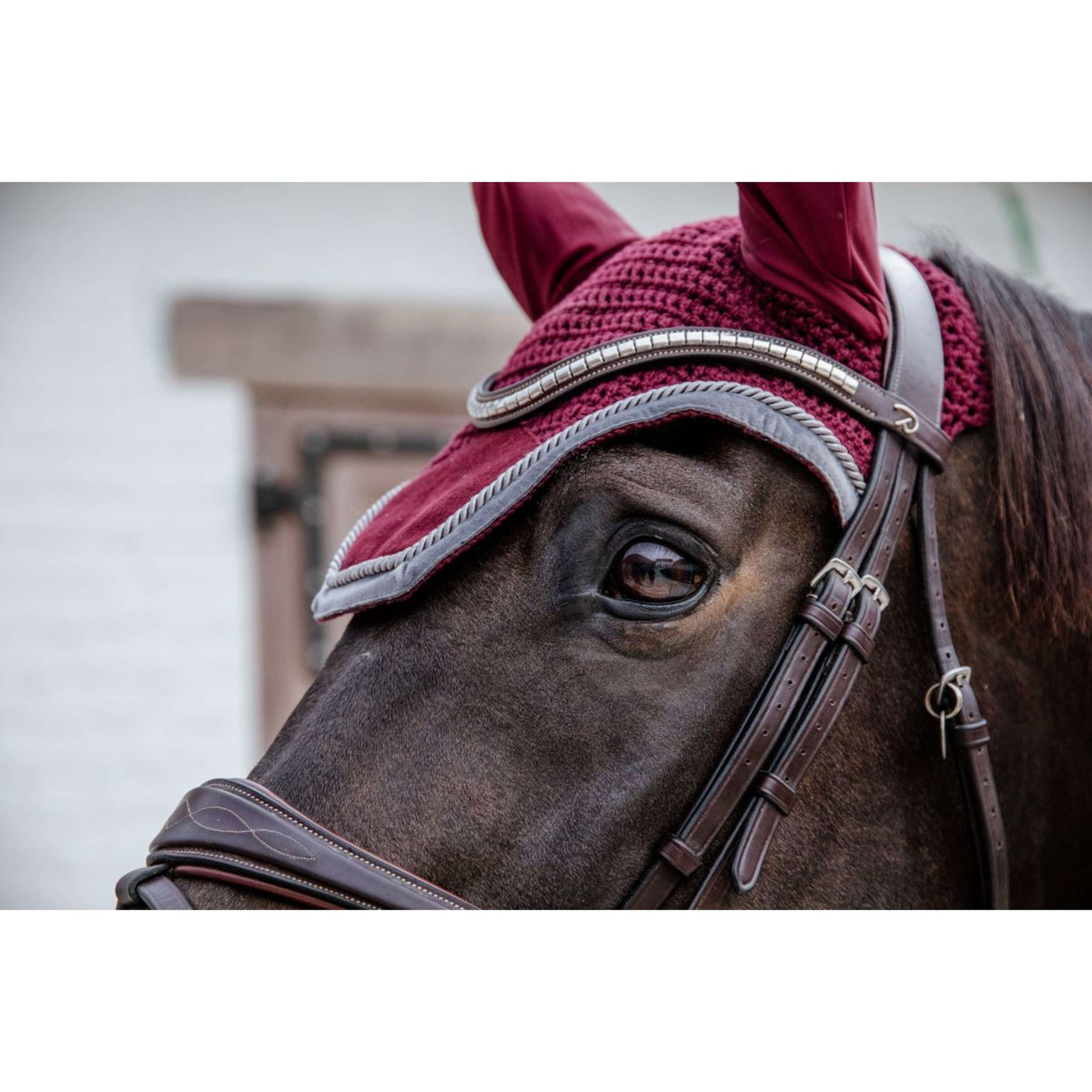 Kentucky Ear Cover Wellington Velvet Contrast Bordeaux