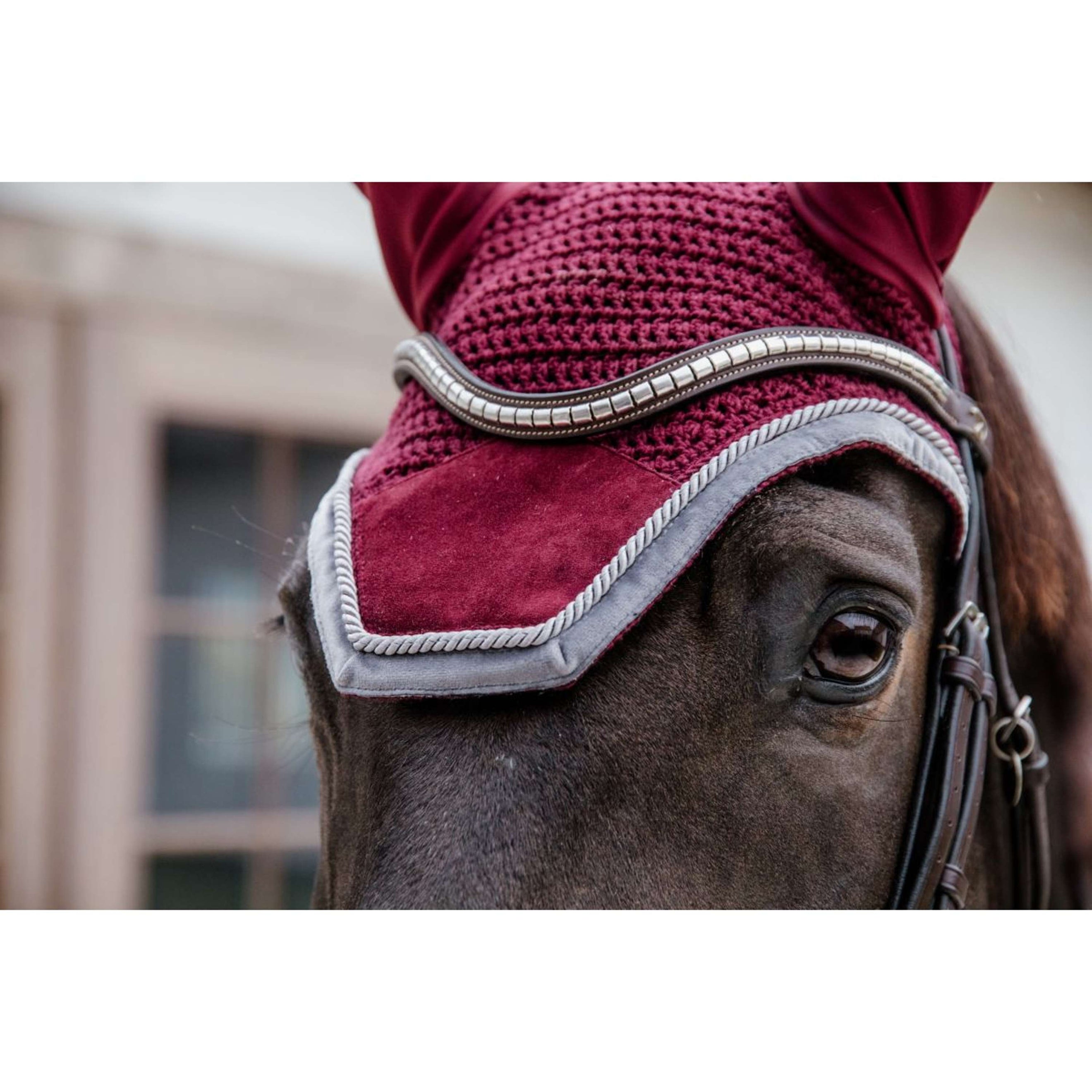 Kentucky Ear Cover Wellington Velvet Contrast Bordeaux