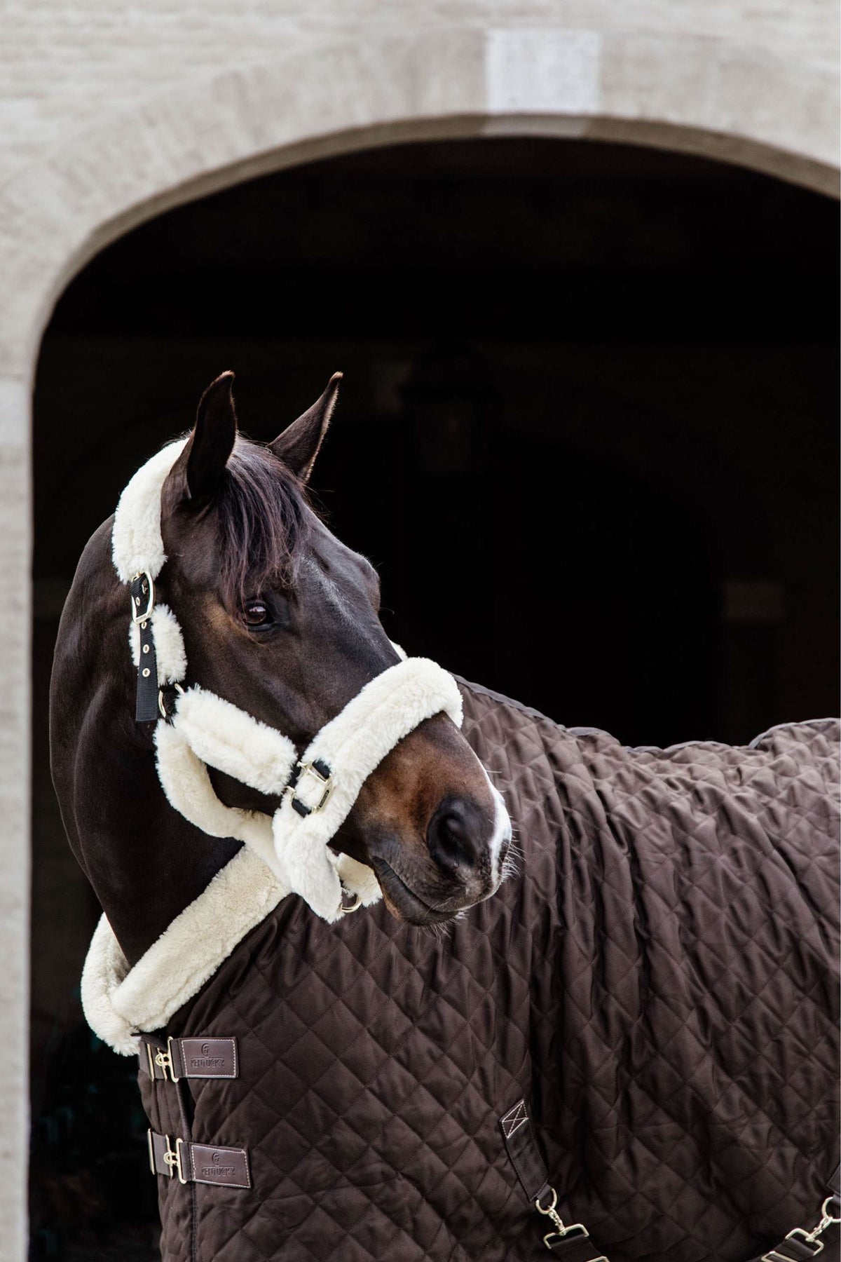 Kentucky Show Rug 160g Brown