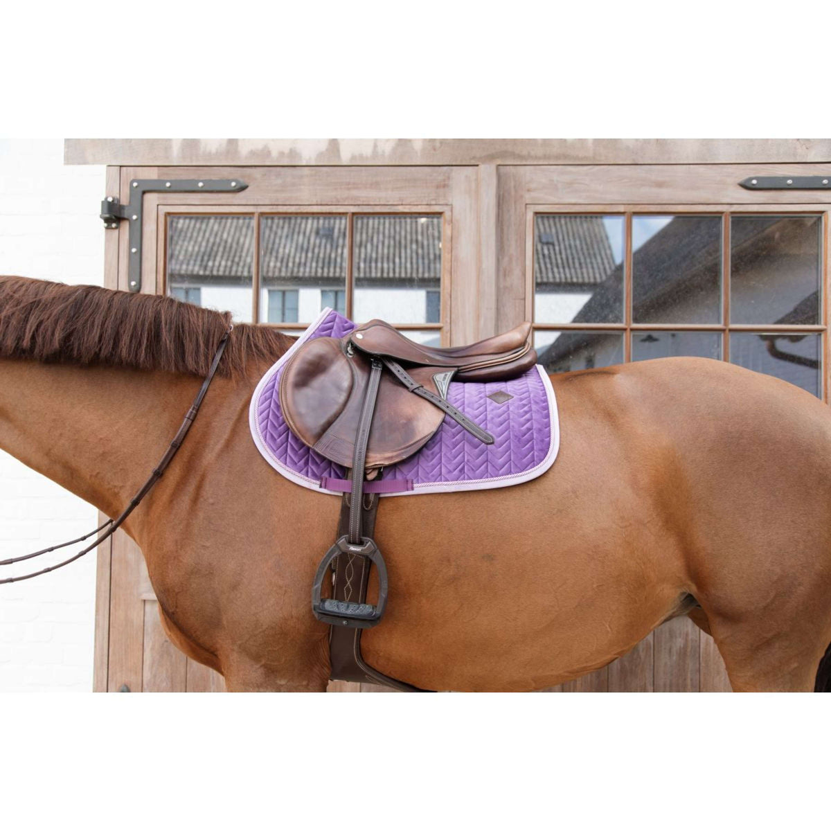 Kentucky Saddlepad Jumping Classic Contrast Royal Purple